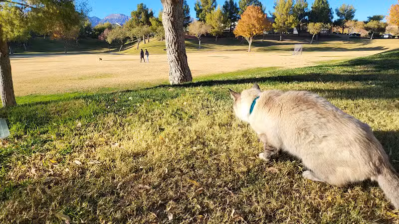 Village Green Park - Las Vegas, NV