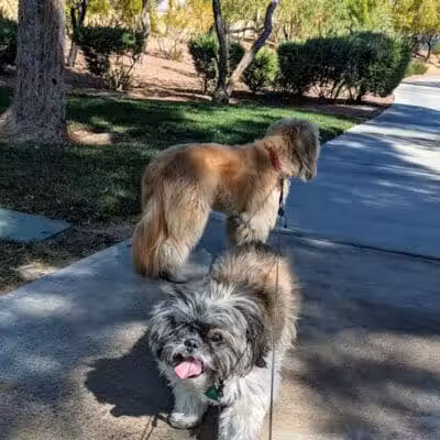 Village Green Park - Las Vegas, NV