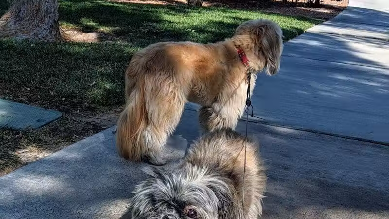 Village Green Park - Las Vegas, NV