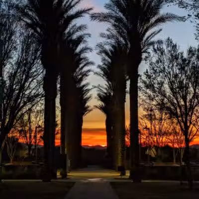 Village Green Park - Las Vegas, NV