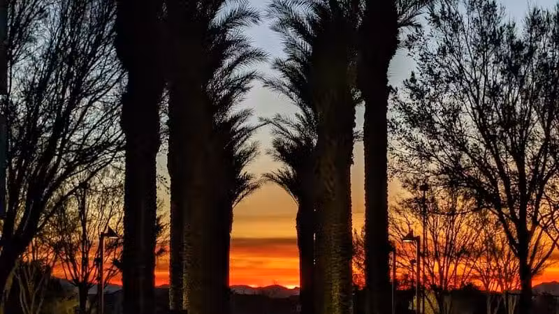 Village Green Park - Las Vegas, NV