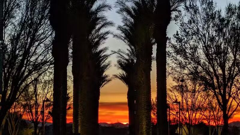 Village Green Park - Las Vegas, NV