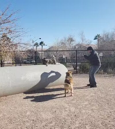 Winding Trails Park - Las Vegas, NV