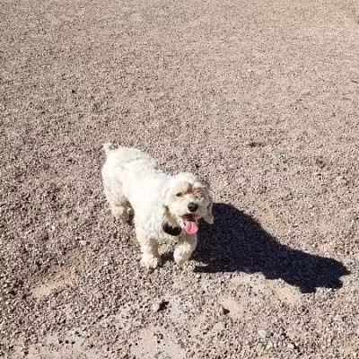 Winding Trails Park - Las Vegas, NV