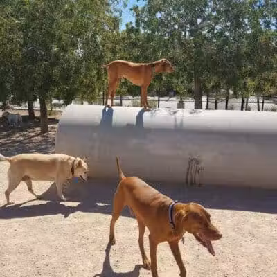 Winding Trails Park - Las Vegas, NV