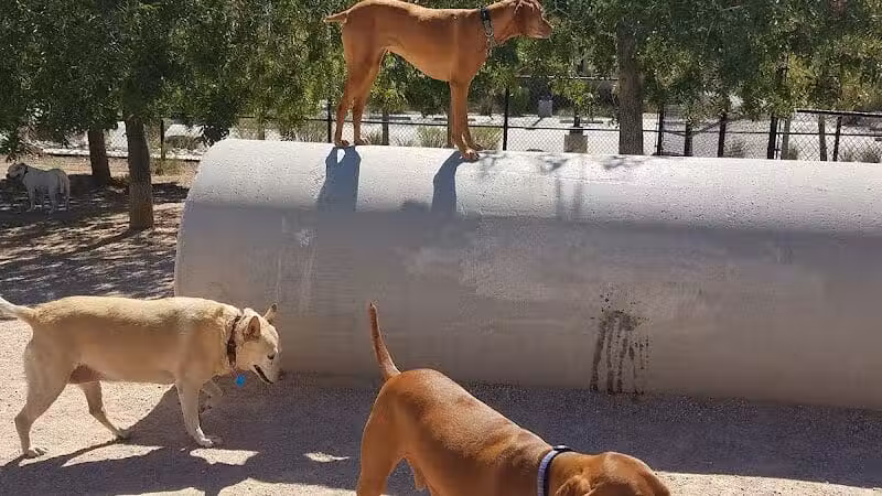 Winding Trails Park - Las Vegas, NV