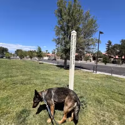 Woofter Family Park - Las Vegas, NV