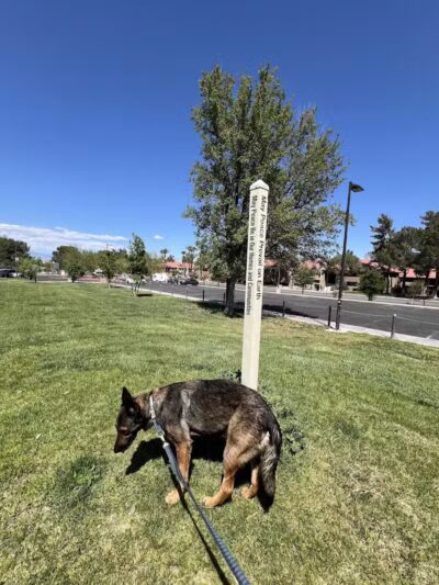 Woofter Family Park - Las Vegas, NV