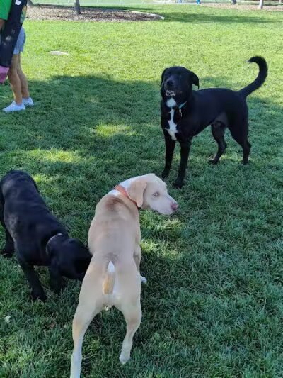 Woofter Family Park - Las Vegas, NV