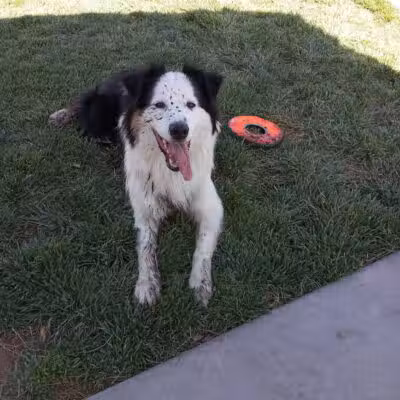 Woofter Family Park - Las Vegas, NV