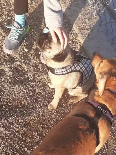 Woofter Family Park - Las Vegas, NV