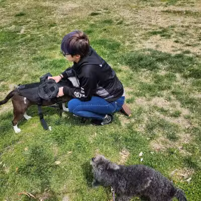 Woofter Family Park - Las Vegas, NV