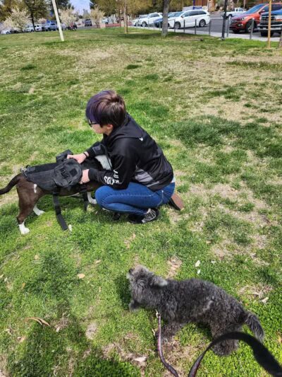 Woofter Family Park - Las Vegas, NV