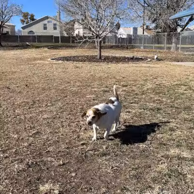 Woofter Family Park - Las Vegas, NV