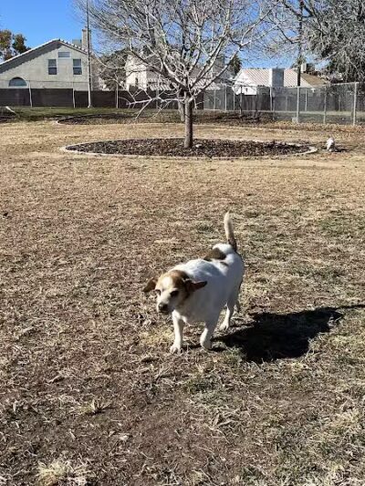Woofter Family Park - Las Vegas, NV