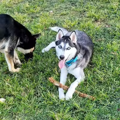 Woofter Family Park - Las Vegas, NV