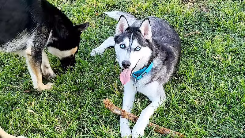 Woofter Family Park - Las Vegas, NV