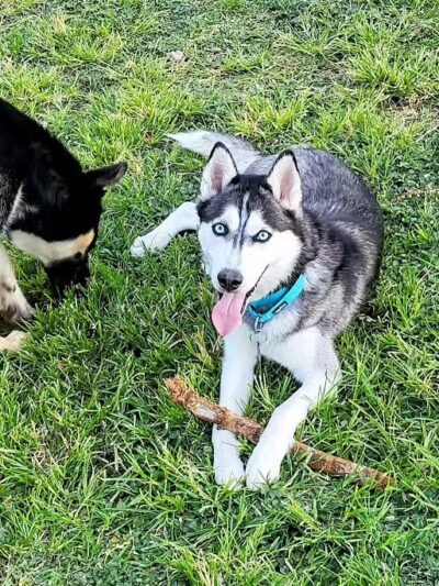 Woofter Family Park - Las Vegas, NV