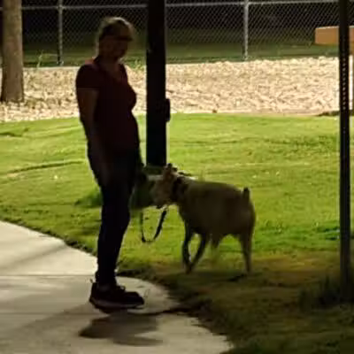 Jaycee park - Las Vegas, NV