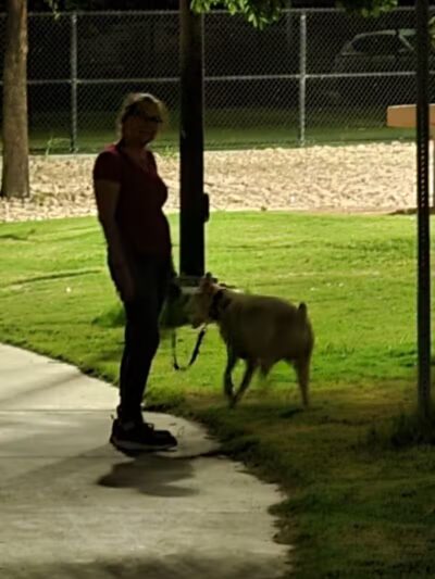 Jaycee park - Las Vegas, NV