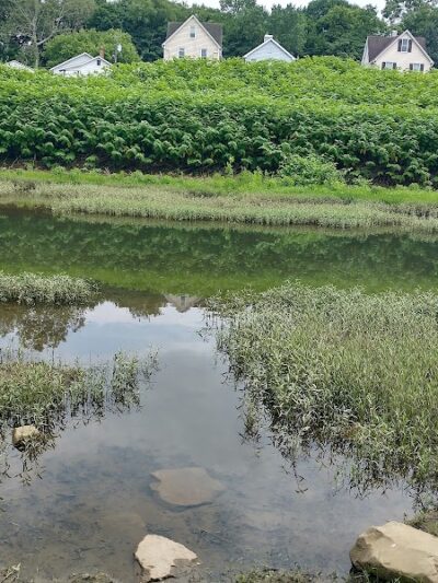 Cardinal Park - Latrobe, PA