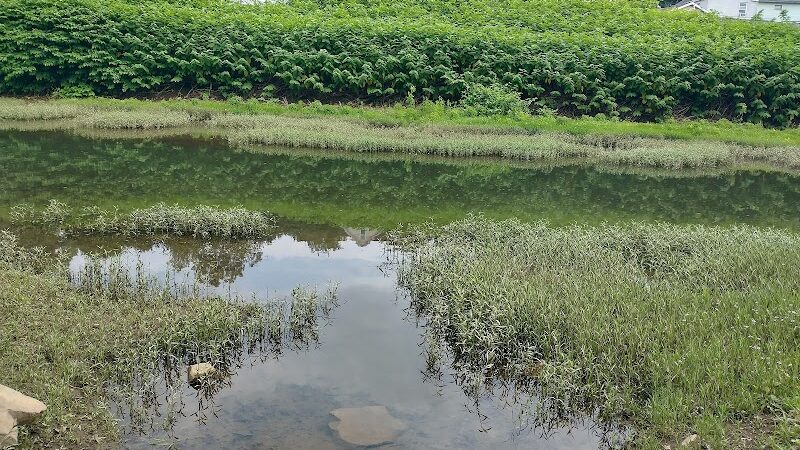 Cardinal Park - Latrobe, PA