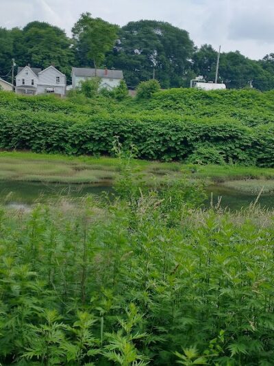 Cardinal Park - Latrobe, PA