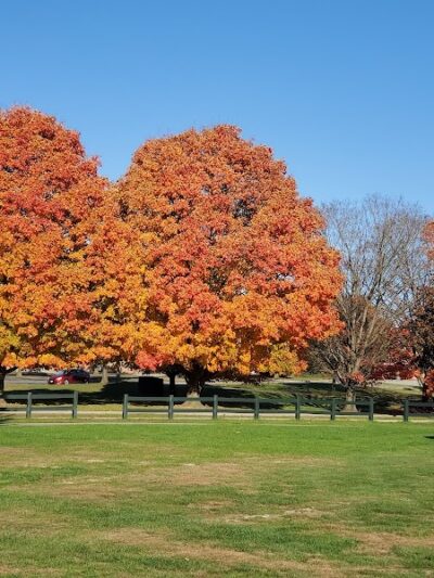 Legion Keener Park - Latrobe, PA