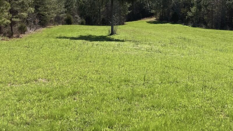 Cliff Pitts WMA parking - Laurens, SC