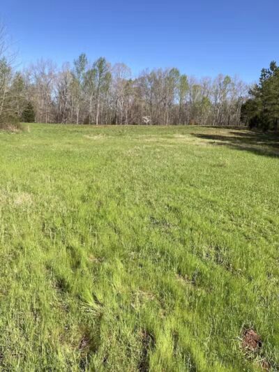 Cliff Pitts WMA parking - Laurens, SC