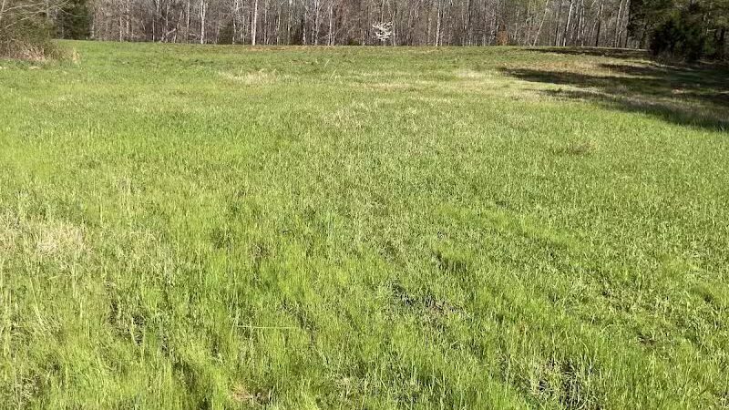 Cliff Pitts WMA parking - Laurens, SC