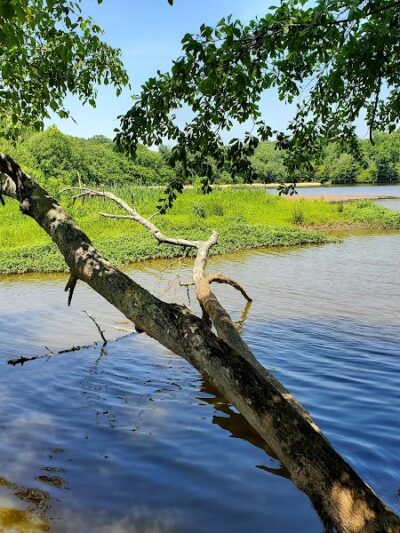 Karl H. Dixon Memorial Park At Boyd's Mill Pond - Laurens, SC