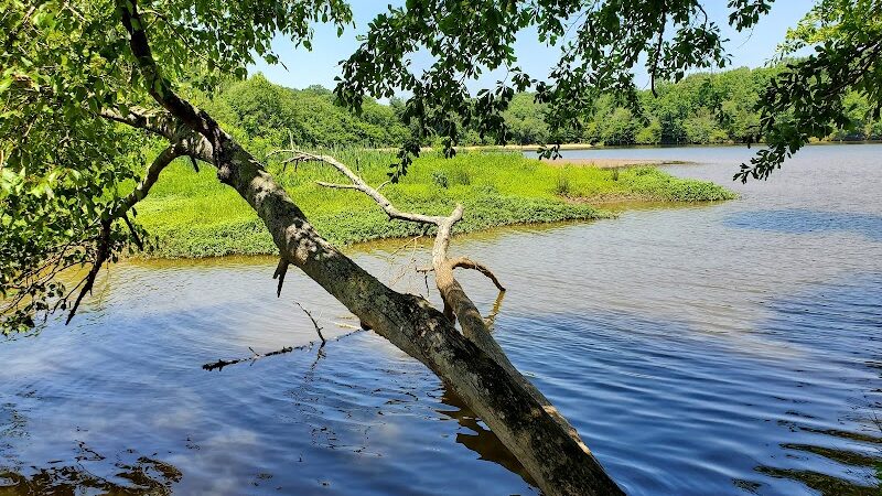 Karl H. Dixon Memorial Park At Boyd's Mill Pond - Laurens, SC