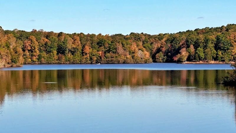 Lake Rabon Park - Laurens, SC