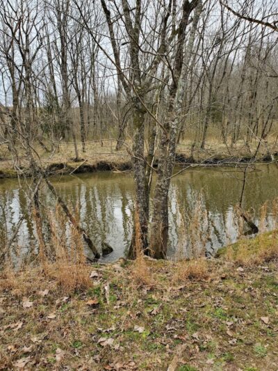 Lake Rabon Park - Laurens, SC