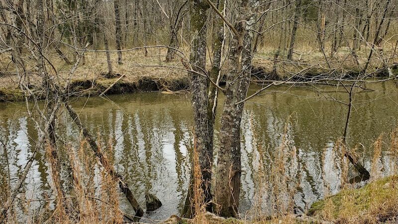 Lake Rabon Park - Laurens, SC