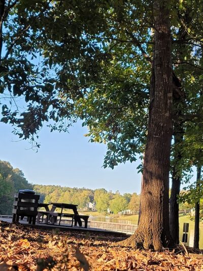 Lake Rabon Park - Laurens, SC