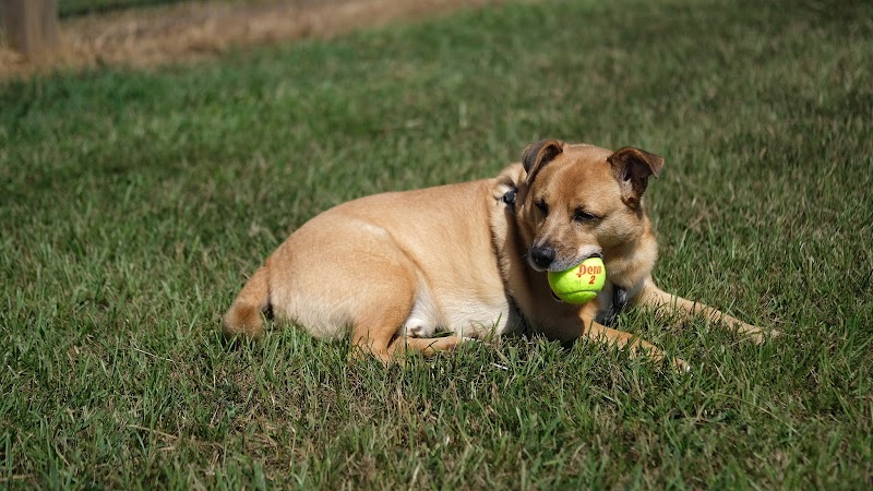 Laurens County Park - Laurens, SC
