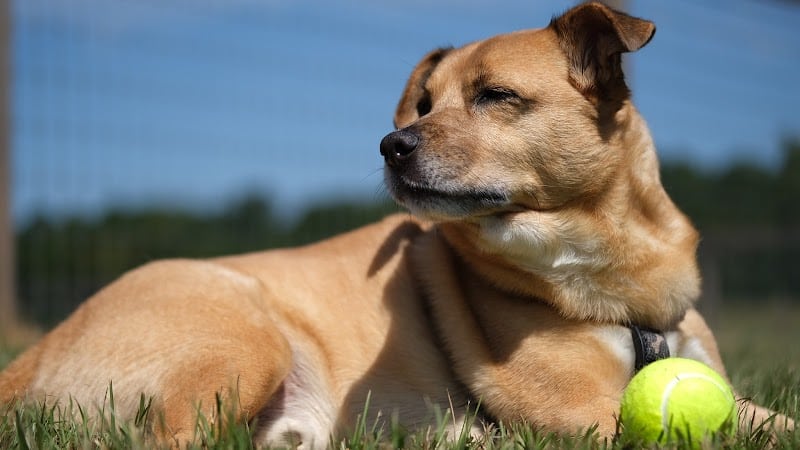 Laurens County Park - Laurens, SC