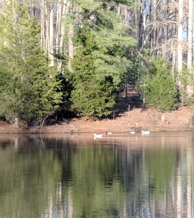 Laurens County Park - Laurens, SC