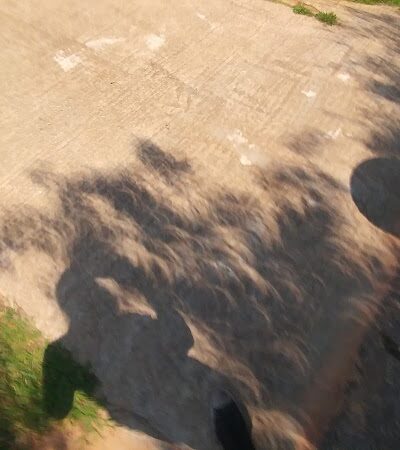 Laurens County Park - Laurens, SC