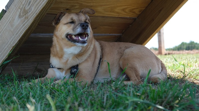 Laurens County Park - Laurens, SC