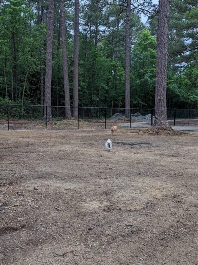 Laurinburg Dog Park - Laurinburg, NC