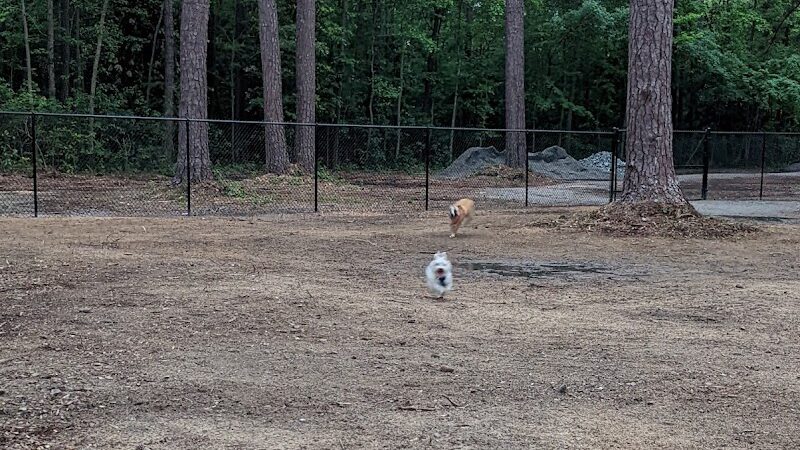 Laurinburg Dog Park - Laurinburg, NC