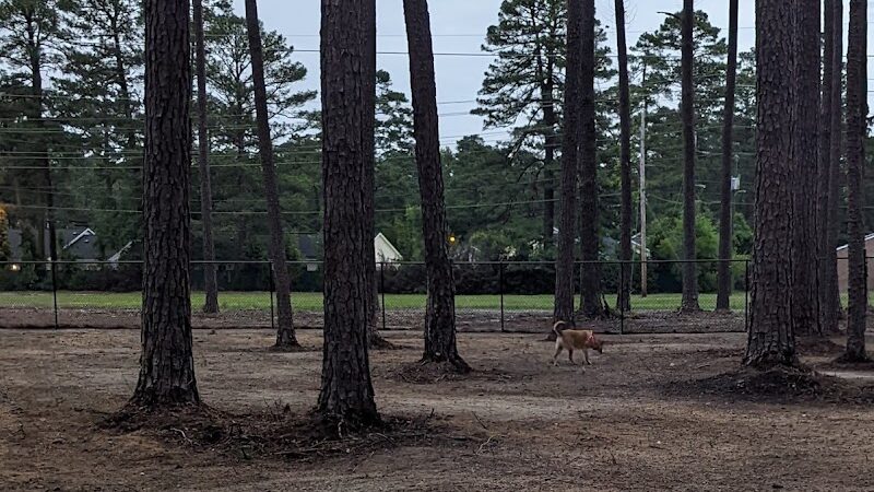 Laurinburg Dog Park - Laurinburg, NC