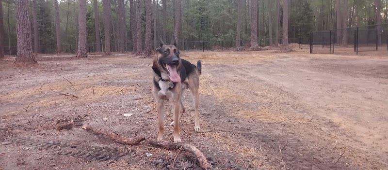 Laurinburg Dog Park - Laurinburg, NC