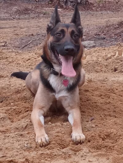 Laurinburg Dog Park - Laurinburg, NC