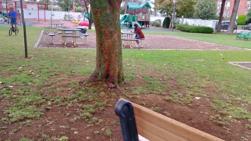 Zion Park - Lawrence, NY