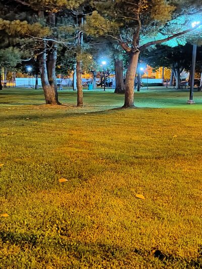 Zion Park - Lawrence, NY