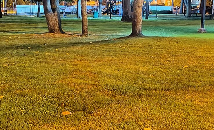 Zion Park - Lawrence, NY